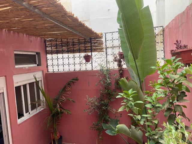 Appartement Martil * مرتيل